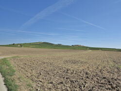 Petersberg IMG_1679.jpg Vorschau: 249x187